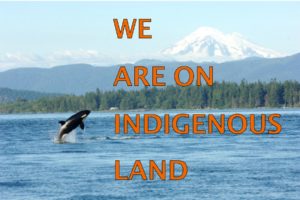 We are on indigenous land image of orca in sound with Mt. Bake backdrop