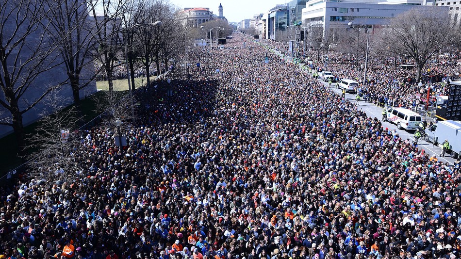 Photo of large gathering of protesters during the March of our Lives Rally, March 2018, Washington, DC